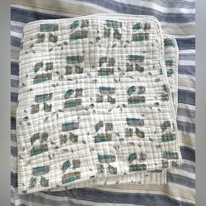Aden + Anais Organic Dream Blanket